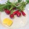 Radishes 1