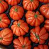 dc-IMG_7162