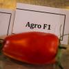 200804 bally, Demo, Food, tomatoes 052