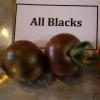 200804 bally, Demo, Food, tomatoes 053