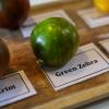 200804 bally, Demo, Food, tomatoes 059