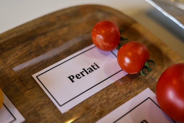 200804 bally, Demo, Food, tomatoes 065