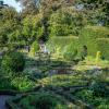 200811 garden, herb garden 039