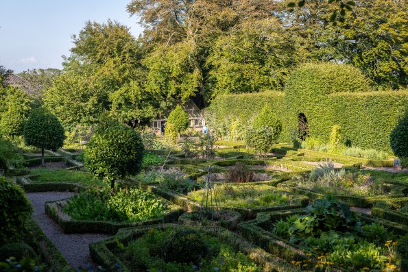 200811 garden, herb garden 040