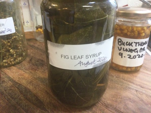 2021-03-10 13.16.32-1